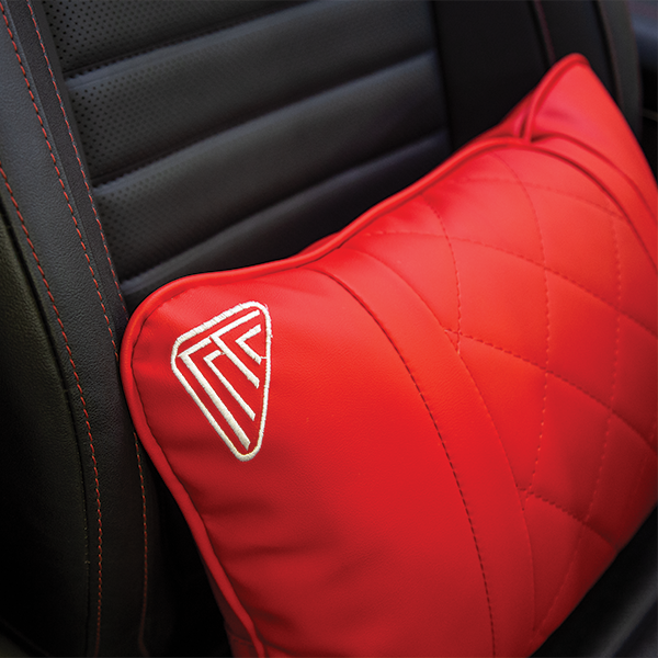 Pharaoh Nappa+ Neck and Back Pillows