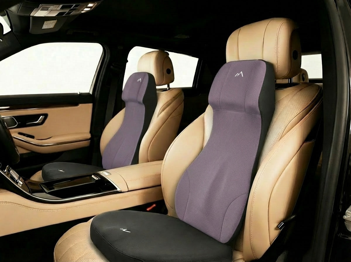 Pharaoh Posture Pro™ – Integrated Long-Hour Support for Back & Lower Spine